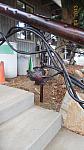 handrails horticultural animal park 1 AA