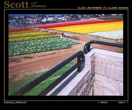RAILING @ FLOWERS FIELDS IN CARLSBAD