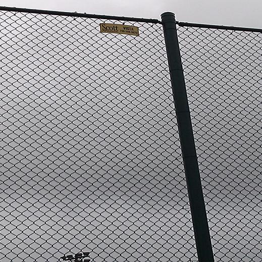 Green Vinyl Chain Link Fence