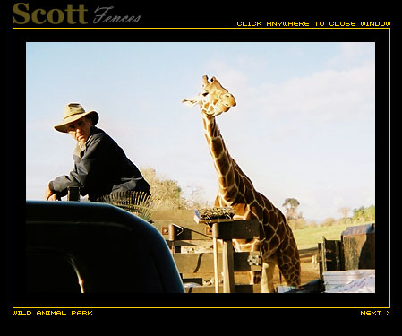 GIRAFFE AND FRIEND