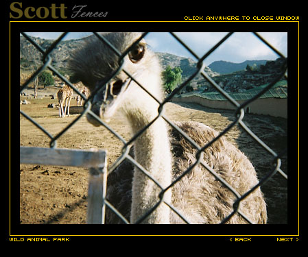 OSTRICH WANTS IN!