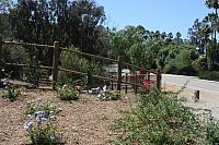 Lodge Pole Fencing with Brown Vinyl Chain Link
