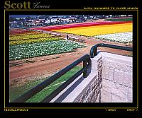 RAILING @ FLOWERS FIELDS IN CARLSBAD