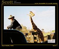 GIRAFFE AND FRIEND