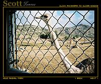 OSTRICH WANTS IN!